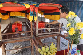 Hai hài cốt liệt sỹ được đưa về hương khói tại Nghĩa trang liệt sỹ huyện Triệu Phong. (Ảnh: Hồ Cầu/TTXVN)