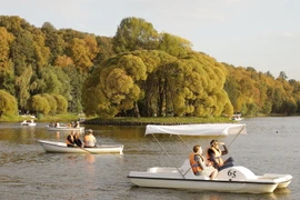 Khoảng thời gian ấm áp ngắn ngủi kích thích người dân đổ ra các công viên, khu rừng để tận hưởng khung cảnh tươi đẹp của thiên nhiên. (Ảnh: Hiếu Trần/Vietnam+)