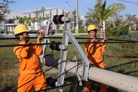 Công nhân Công ty Điện lực Quảng Nam khắc phục sự cố điện do ảnh hưởng của bão số 9. (Ảnh: TTXVN phát)