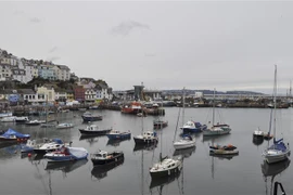 Các thuyền đánh cá neo tại cảng ở Brixham, Anh. (Ảnh: AFP/TTXVN)