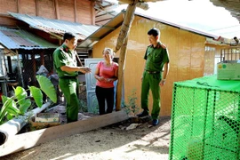Chị Lò Thị Quyết (dân tộc Thái), tại bản Mường Nhé mới, xã Mường Nhé chia sẻ về cuộc sống mới tại ngôi nhà mới nhận từ dự án làm nhà cho hộ nghèo do Bộ Công an phát động. (Ảnh: Nhật Anh/TTXVN)