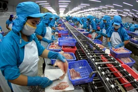 Vốn đầu tư vào Cần Thơ tăng thêm 54,8 triệu USD năm 2014