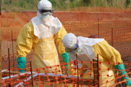 WHO cảnh báo dịch sốt Ebola đang lan rộng tại Tây Phi
