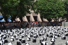 1.600 chú gấu trúc giấy du ngoạn trên khắp Hong Kong 