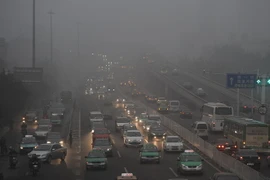 Nhật Bản-ADB hợp tác thúc đẩy công nghệ carbon thấp 