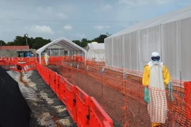 Nhật Bản hỗ trợ Tây Phi 100 triệu USD chống dịch Ebola