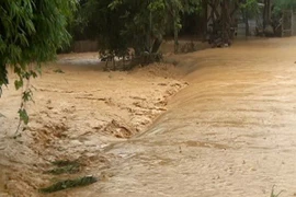 Đảm bảo theo dõi và dự báo đúng mưa, bão, lũ trong mọi tình huống