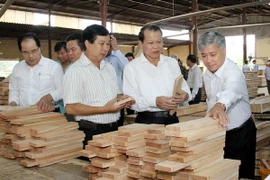 Không cấp phép cơ sở chế biến gỗ không đúng quy hoạch