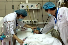 Cần Thơ: Hai vợ chồng bị ngộ độc nặng do ăn phải cá nóc