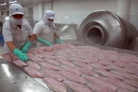 [Video] Cá tra, basa Việt Nam tiếp tục bị Mỹ áp thuế chống bán phá giá