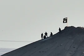SOHR: IS kiểm soát hơn 1/3 thị trấn quan trọng Kobane