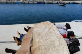 Chìm tàu ngoài khơi Libya, hàng chục người chết và mất tích