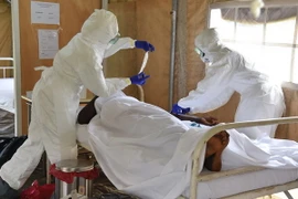 Italy công bố một ca nghi nhiễm virus Ebola đầu tiên 