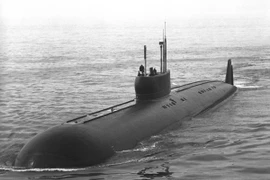 Ảnh minh họa. (Nguồn: wiki)