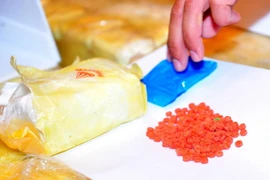 Đức và Séc phối hợp triệt phá nhóm buôn ma túy quốc tế