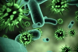 Australia đối mặt với nguy cơ virus đe dọa an toàn sinh học