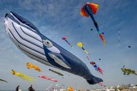 [Photo] Liên hoan Diều Quốc tế lần thứ 28 tại Pháp