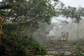 Trung Quốc tiếp tục báo động cao nhất đối với bão Rammasun 