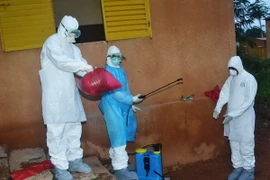 Thêm một bác sỹ người Nigeria bị nhiễm virus Ebola