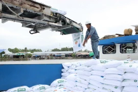 50% mẫu phân bón được kiểm tra có chất lượng kém