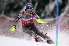 Ảnh đồ họa về môn Trượt xuống núi tại Sochi 2014