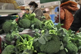 Nhật Bản chỉ trích việc Nga cấm nhập nông sản của nhiều nước