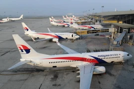 Vụ máy bay MH17: Đã nhận dạng được 16 nạn nhân Malaysia 
