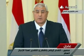 Tổng thống lâm thời Ai Cập Adly Mansour. (Nguồn: AFP/ TTXVN)