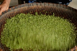 [Photo] Thưởng thức hương cốm Tú Lệ ngọt ngào nơi rẻo cao