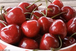Australia tìm kiếm thị trường xuất khẩu quả cherry ở châu Á