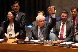 Giới ngoại giao châu Á ủng hộ nghị quyết của LHQ về vụ MH17