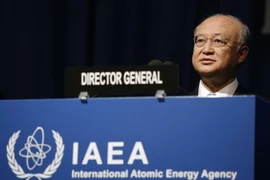 IAEA cam kết ưu tiên hỗ trợ Việt Nam trong lĩnh vực điện hạt nhân