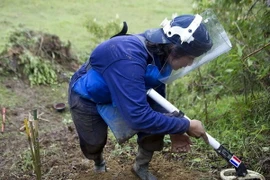 Ảnh minh họa. (Nguồn: usatoday.com)