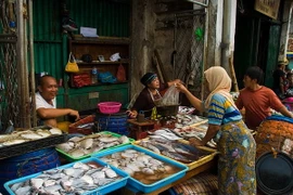 Một chợ cá ở Indonesia. (Nguồn: mattprater.com)