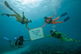 Toàn thế giới cần hành động để bảo vệ các đại dương