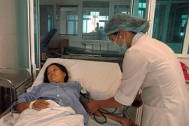 Ngộ độc do ăn bọ xít đen, hơn 20 người phải đi cấp cứu