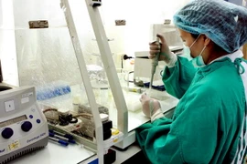 [Video] Ngăn chặn “Cái chết đen” xâm nhập vào Việt Nam 