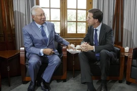 Malaysia, Hà Lan kêu gọi ngừng giao tranh tại hiện trường MH17