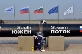 Các công nhân làm việc tại đoạn đường ống dẫn khí đốt Dòng chảy Phương Nam qua Bulgaria ngày 31/11/2013. (Nguồn: AFP/TTXVN)