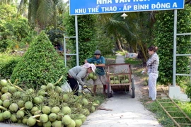 Bắc Bộ và Trung Bộ vẫn duy trì nắng nóng trong 2 ngày tới