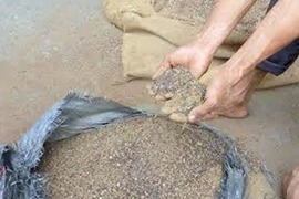 Khởi tố lãnh đạo Trường Ngân vụ “7 ngân hàng tranh chấp kho càphê”