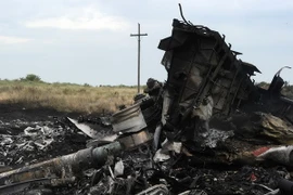 Xác máy bay MH17 tại khu vực rơi, gần thị trấn Shaktarsk, miền đông Ukraine. (Ảnh: AFP/TTXVN)