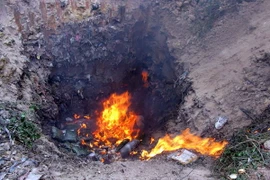 Bắc Giang tiêu hủy 220kg hàng đông lạnh không rõ nguồn gốc