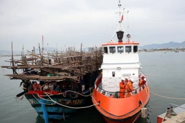 (Ảnh minh họa: Trần Lê Lâm/TTXVN)