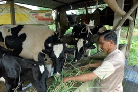 Lập Hội đồng Nhà nước thẩm định 2 Chương trình quốc gia