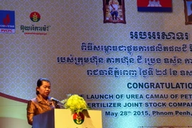 Phó Thủ tướng Chính phủ Hoàng gia Campuchia Men Sam An. (Ảnh: Xuân Khu/Vietnam+)