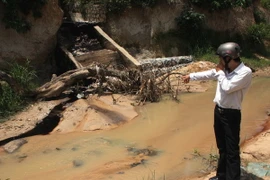 (Ảnh minh họa: Trần Lê Lâm/TTXVN)