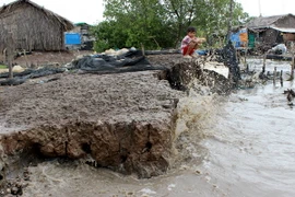 Tác động của biến đổi khí hậu và nước biển dâng ảnh hưởng rõ nét lên đời sống của người dân thị trấn Sông Đốc, huyện Trần Văn Thời, Cà Mau. (Ảnh: Huỳnh Thế Anh/TTXVN)