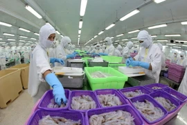 Chế biến sản phẩm tôm xuất khẩu tại Công ty Cổ phần Thực phẩm Sao Ta tại tỉnh Sóc Trăng. (Ảnh: Huy Hùng/TTXVN)