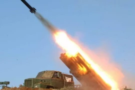 Ảnh minh họa. (Nguồn: NYP)